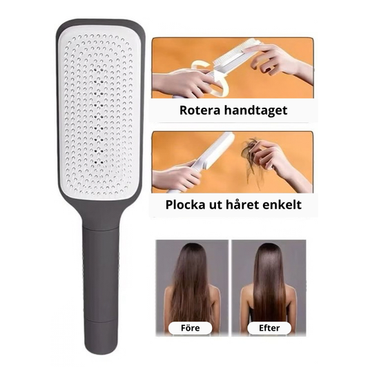 BorstaRent - Smidigaste borsten